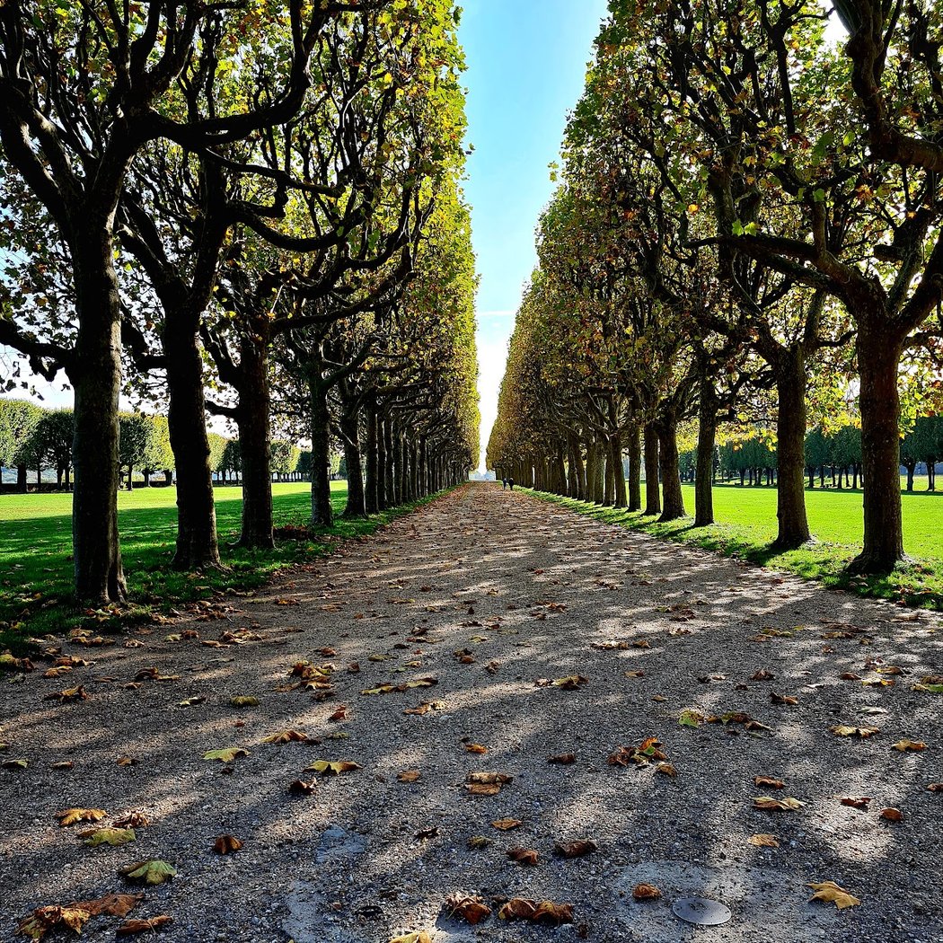 Meudon National Estate 1